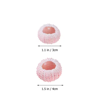 6 Ks 3/4CM Prirodzený Morský ježko Škrupiny Conch Škrupiny Tillandsia Kontajnerov DIY Vzduchu Výsadbu Rastliny Hrnce (Náhodné Farby)