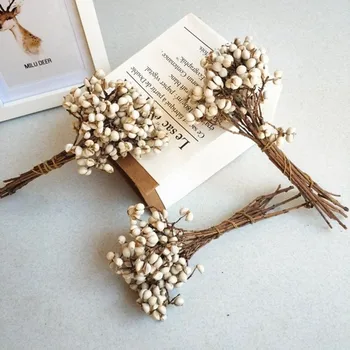 Prírodné Huby Trávy Malé Ginkgo Sušené kvety DIY Hand-Made Garland S Materiálom Biely Jačmeň Lumbálna Dekoratívne Pobočiek